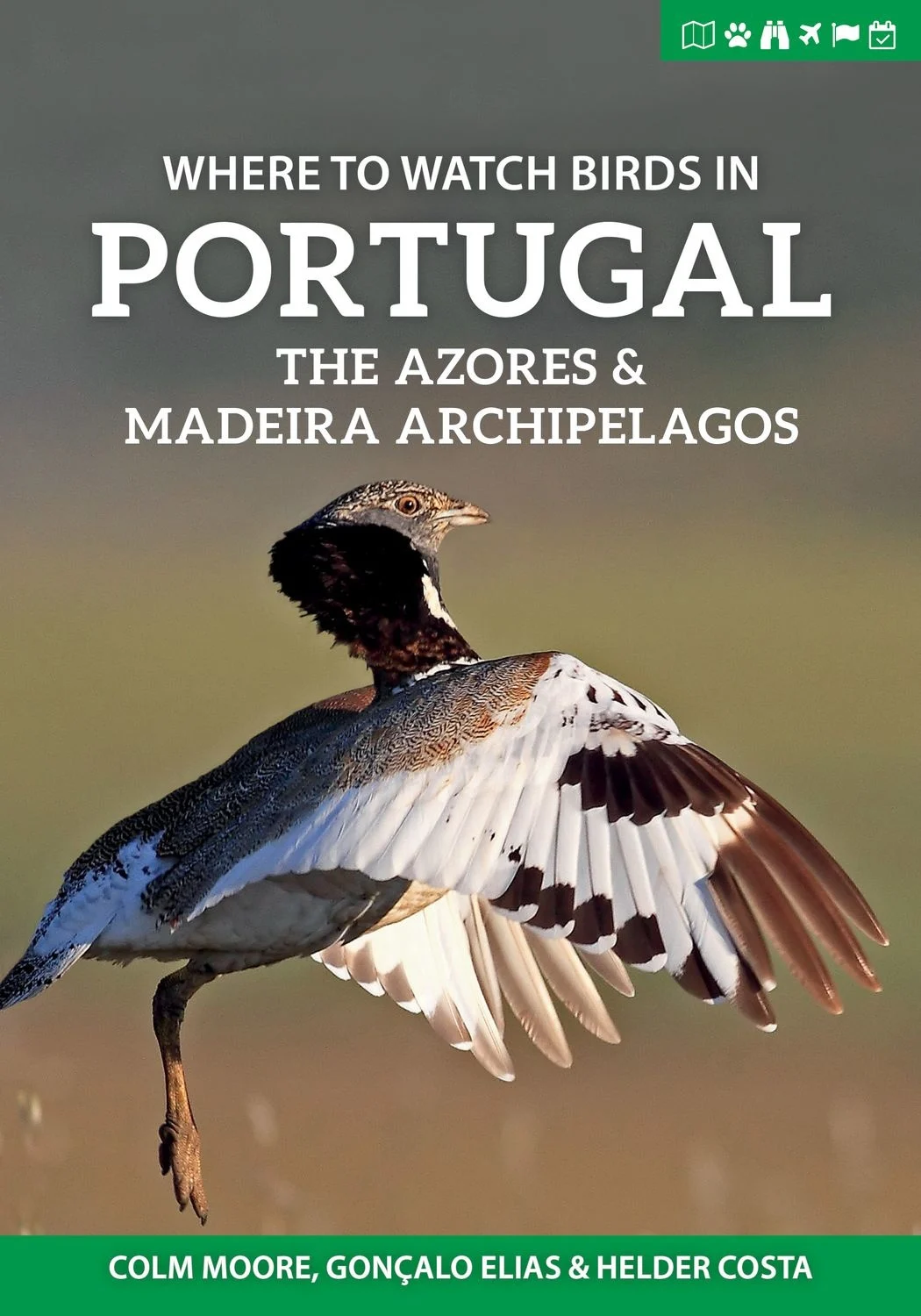 Vogelgids Where to Watch Birds in Portugal, the Azores & Madeira Archipelagos | Pelagic Publishing